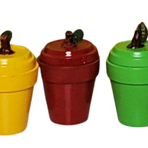 Apple treasure Boxes